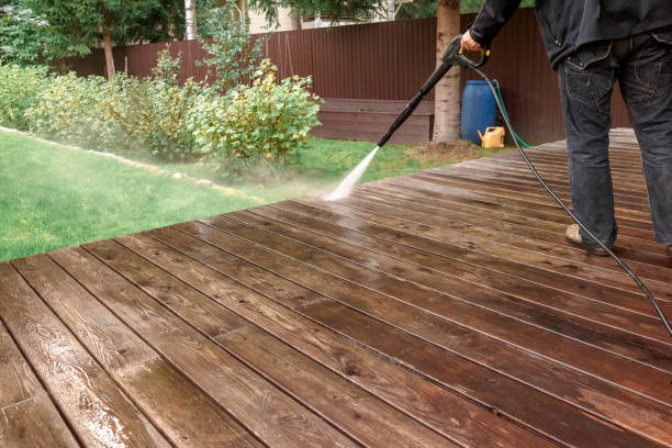 Best Roof Washing  in Tehachapi, CA